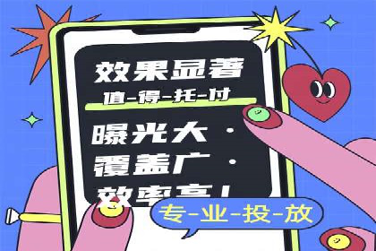 行业领先SEM托管代运营案例